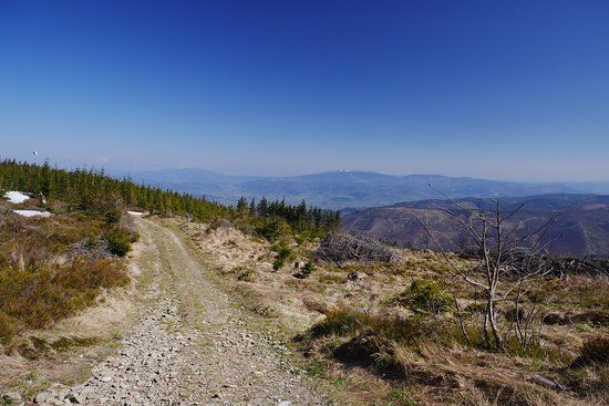 Park Krajobrazowy Beskidu Slaskiego